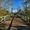 1905 Byrum Swinging Bridge.
Over the Pearl River.
Near Jackson, MS.
