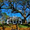 Twin Oaks Mansion
(built 1852)
Natchez, Mississippi