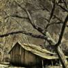 Abondoned storage shed-
off of the Natchez State Pkwy