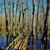 Tupelo Bald-Cypress Swamps
(Along the Natchez Trace Parkway)