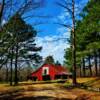 Scenic interior back country-
near Hohenlinden, Mississippi