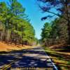 Natchez Trace Parkway
(Mile 198)
near Mathiston, Mississippi