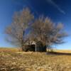 Old storage barn~
Near Elmo, Missouri.