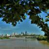 Kansas City's skyline.
From a Kaw Point tree.