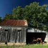 Frontal view of this shed barn.
Holt County.
