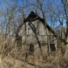 100-year old overgrown vintage 1920 barn.
Ectonville, MO.