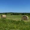 Rolling hay field in 
northern Missouri.