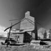 Amsterdam grain elevator.
Amsterdam, MT.