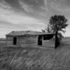 Long abandoned residence.
Comertown.
(northeast Montana)