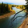 North Fork Flathead River-near Apgar, Montana