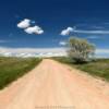 Another peek north along this
east Montana backroad.