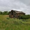 Another angle of this 
classic old shed.
Southeast Montana.