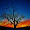 Brilliant sunset-near Jordan, Montana