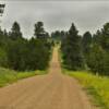 More of Montana's 
southern rolling pines.
Powder River County.