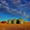 Old grain storage silo's-northern Montana