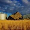 'Signs of wind wear'  northern Montana