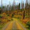 Montana's East North Fork Road-near Glacier Park & Flathead River