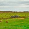 Autumn Harvest~
Near Valentine, Nebraska.