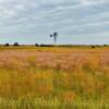 'Simple' Windmill setting.
Near Wood Lake, Nebraska.