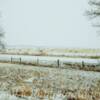 Lale-January snowy day~
Near North Platte, NE.