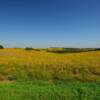 Autumn in eastern Nebraska.
Washington County.