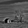 Picturesque setting.
Storage shack.
Near Eagle, NE.