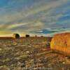 November sunset on a
cleared hayfield.
Eastern Nebraska.