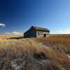 Early 1900's storage shed.
Along US Highway 30.
Near Sunol, NE.