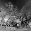 Old farmstead remnants.
Near Brule, NE.