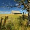 Kimball County Barn.
(through the trees)