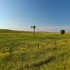 Southern Sand Hills.
Dawson County, NE.