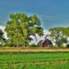 1920's barn-shaped house.
Near Gothenburg, NE.