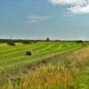 Open hayfield.
Near Anselmo, NE.