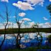 Reflecting pond-near Ericson, Nebraska