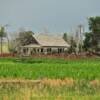 Occluded old farm house.
Near Potter, NE.