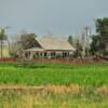 Occluded old farm house.
Near Potter, NE.