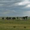 Abandoned old ranch oasis.
Deuel County.
Near Big Springs, NE.