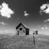 Black & White perspective.
1930's shed barn.