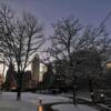 Omaha's First National Tower.
(through the trees)