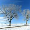 Serene wintery scene.
Otoe County.