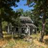 An abandoned old farm house.
Near Brady.