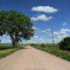 Looking east along a gravel county road north of Brady.