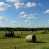 Peaceful old hay field.
Near Callaway.