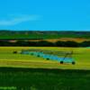 Irrigating crops-near Alliance, Nebraska