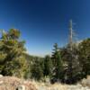 View from atop of 
Mount Charleston.