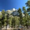 Mount Charleston.
Nestled in the tall pines.