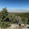 Southern Nevada.
Desert View Overlook.