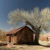 1915 Cottonwood Cabin.
Goodsprings, NV.