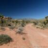 Red desert road.
Red Rock Canyon.