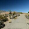 Another 4x4 desert trail.
Red Rock Canyon.